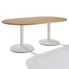 Table de réunion ovale piétement tulipe WIST 6 à  10 personnes