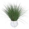Plante Artificielle Graminée