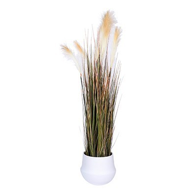 Plante Artificielle La Pampa