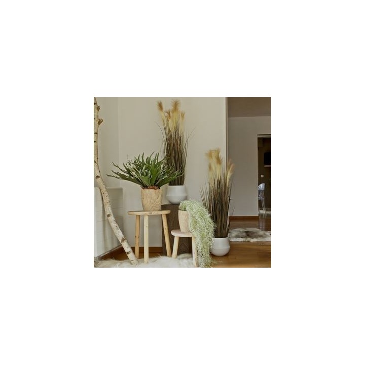Plante intérieur artificielle de Bureau- La Pampa- Gosto