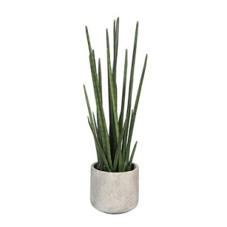 Plante intérieur artificielle de Bureau- Le Sansevieira- Gosto