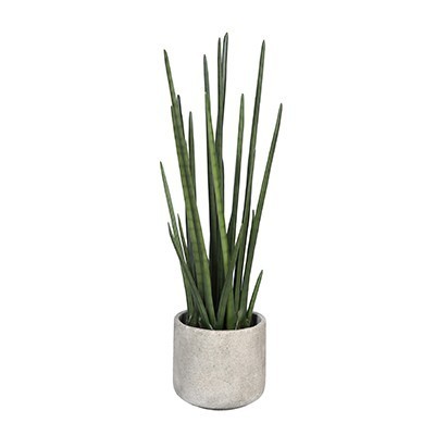 Plante Artificielle Le Sansevieira