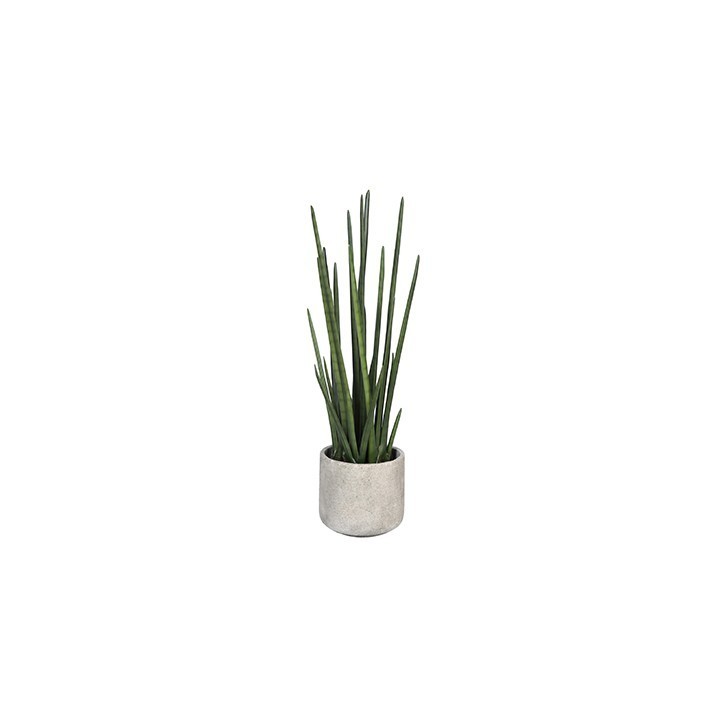 Plante intérieur artificielle de Bureau- Le Sansevieira- Gosto