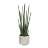 Plante Artificielle Le Sansevieira