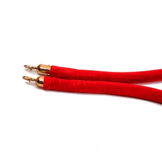 Cordon pour poteaux de guidage velours rouge et attaches dorées