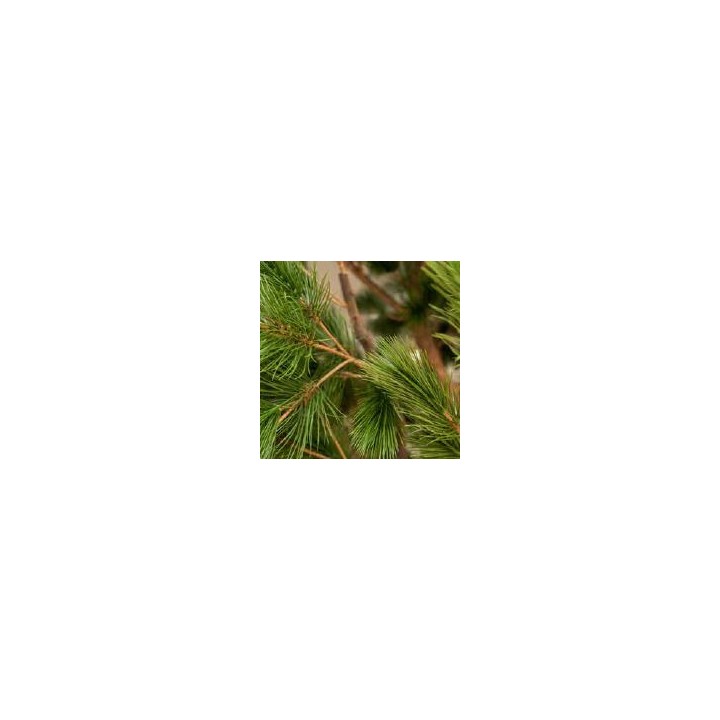 Arbre artificiel Pin | Gosto