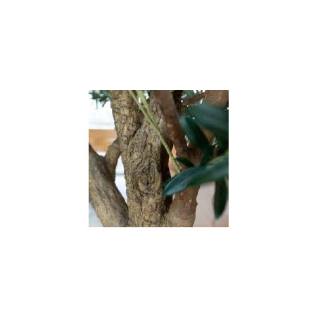 Arbre artificiel Olivier