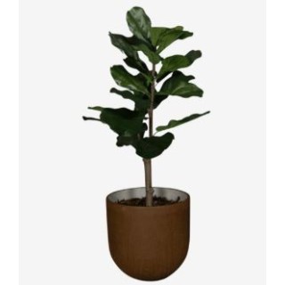Ficus Lyrata Artificiel | Gosto