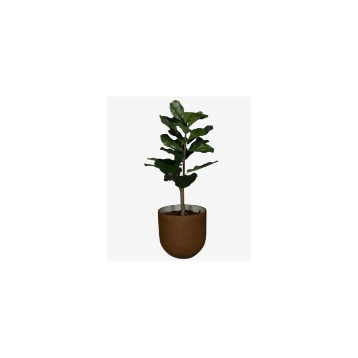 Ficus Lyrata Artificiel | Gosto
