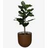 Ficus Lyrata Artificiel