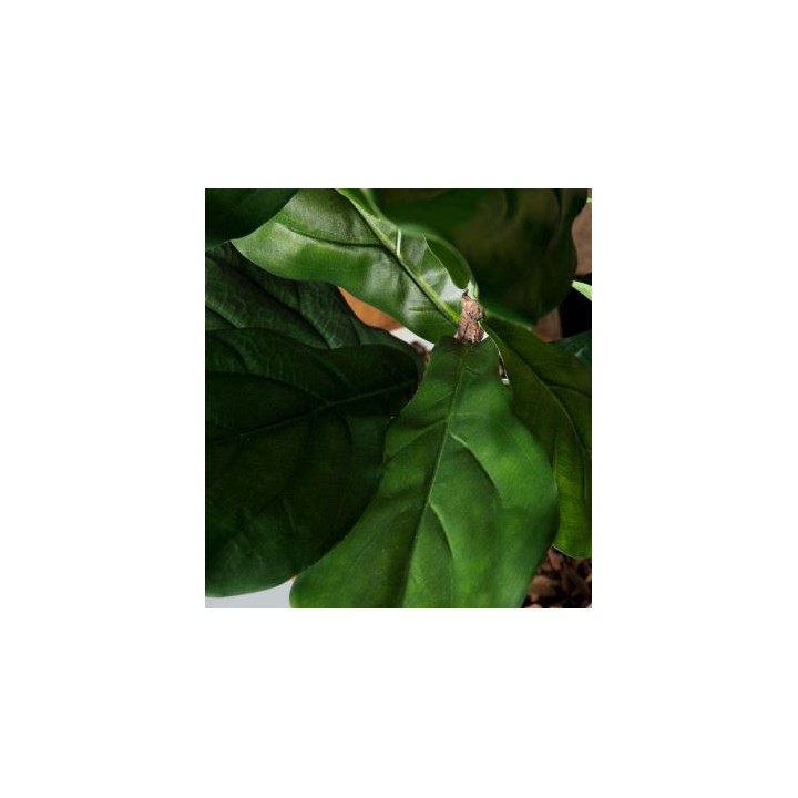 Ficus Lyrata Artificiel | Gosto
