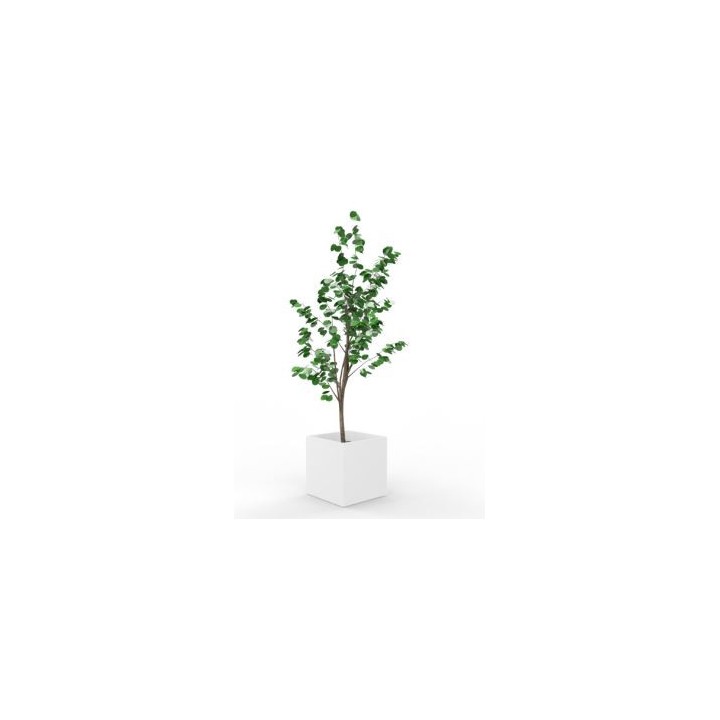 Arbre artificiel Eucalyptus Hauteur 230 cm