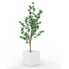 Arbre artificiel Eucalyptus
