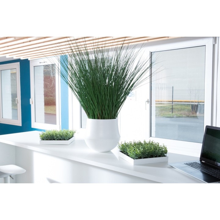 Cadres mur végétal intérieur | Gosto