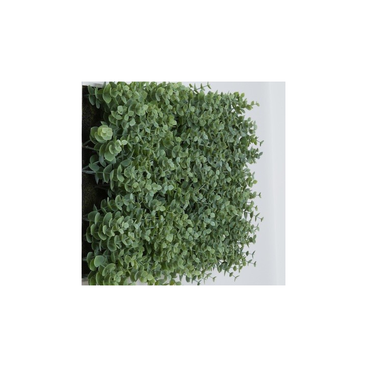Cadres mur végétal intérieur | Gosto