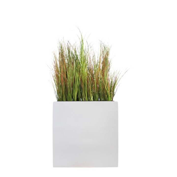 Séparateur végétal graminées L.80 cm | Gosto