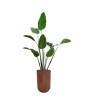 Plante artificielle Bananier H.220 cm