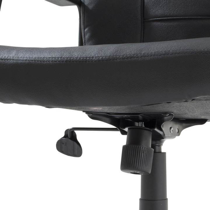 Fauteuil de bureau BUFFALO - Fauteuil de direction-Gosto