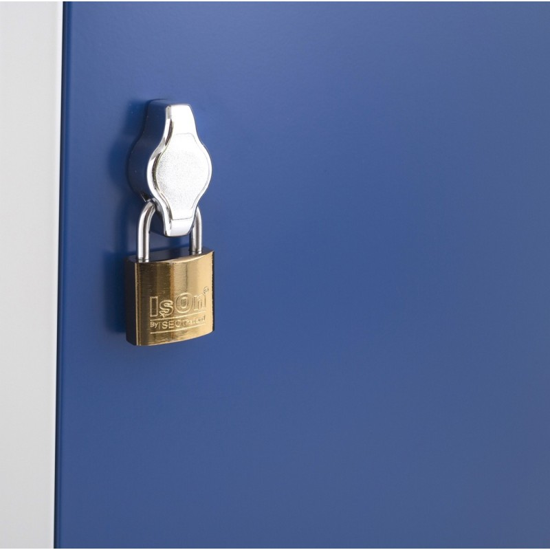 Moraillon porte-cadenas équipé d'un cadenas sur une porte de vestiaire