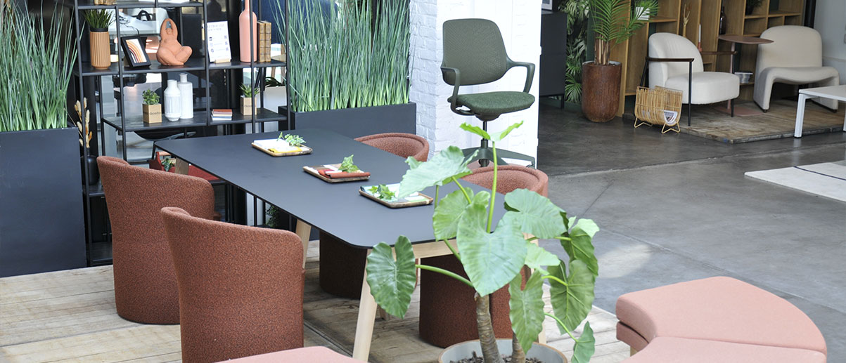 Image showroom Lille