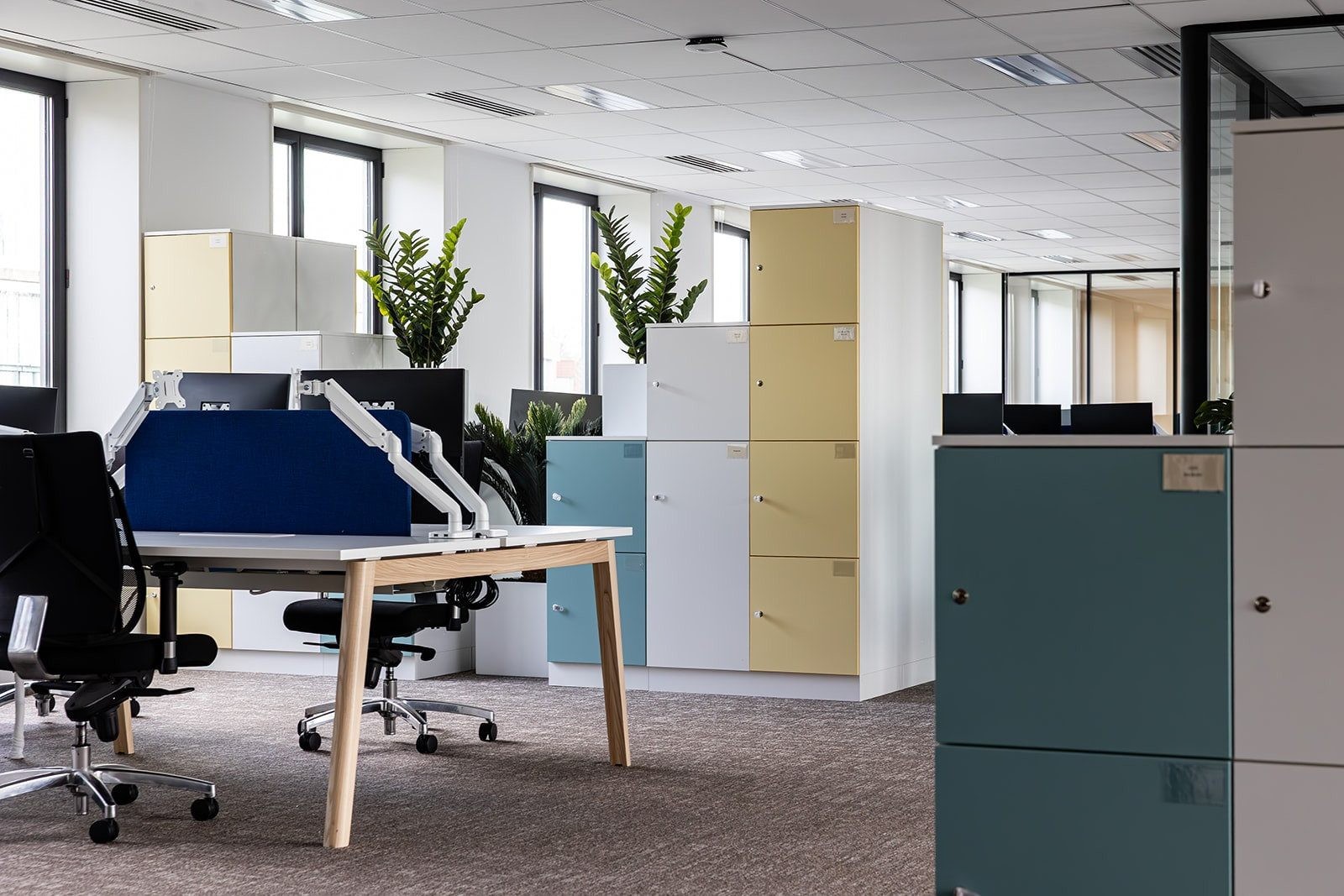 Verspieren « Color Block »